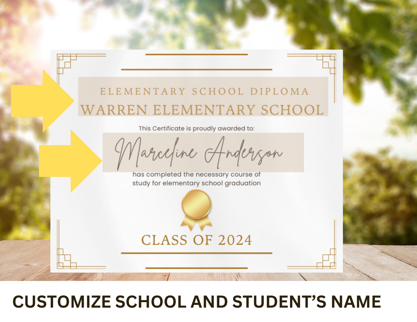 20 Custom Graduation Diplomas Cupcake toppers