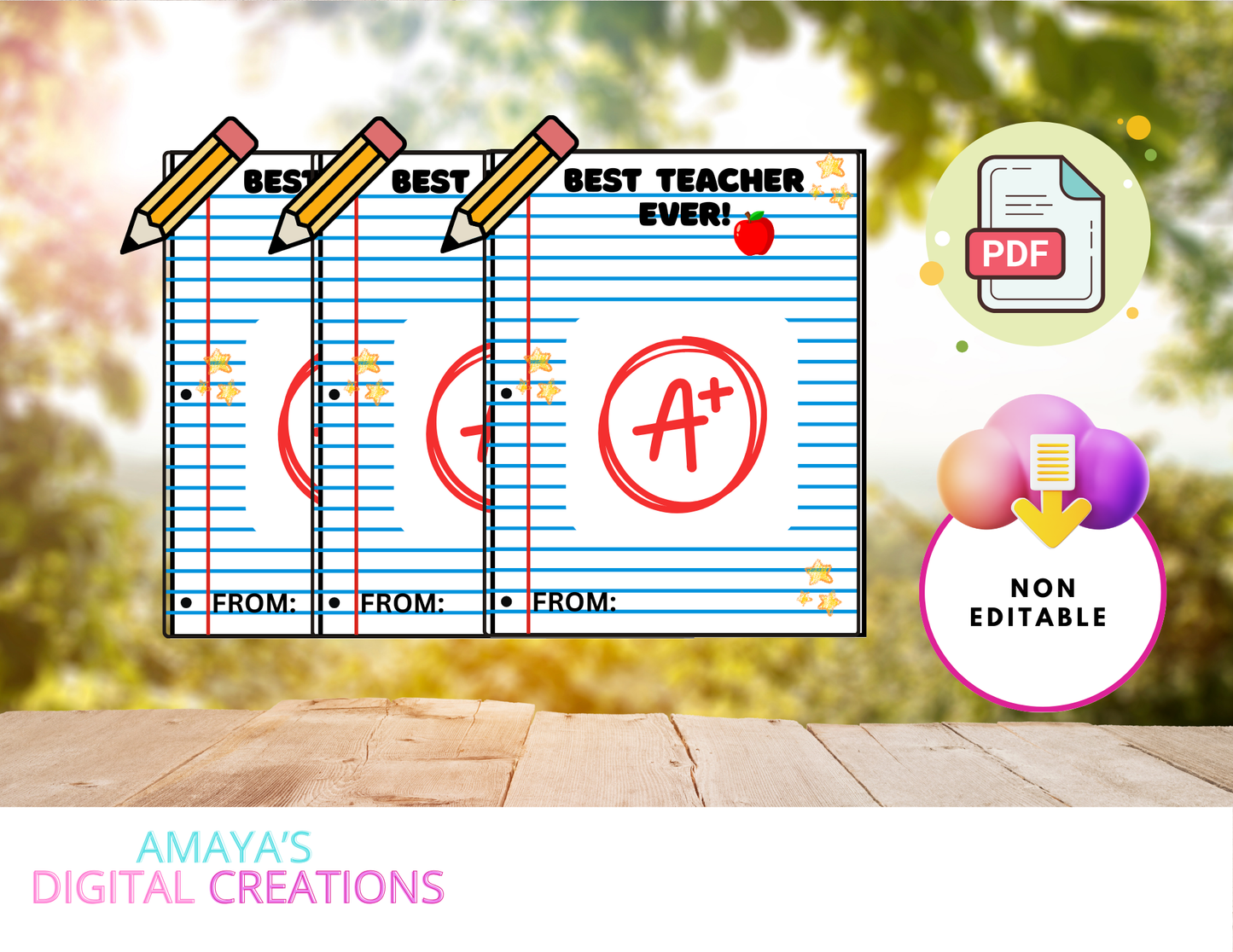 Teacher Appreciation Gift Tag|  Digital Instant Download ,No Physical Item, PDF,PNG