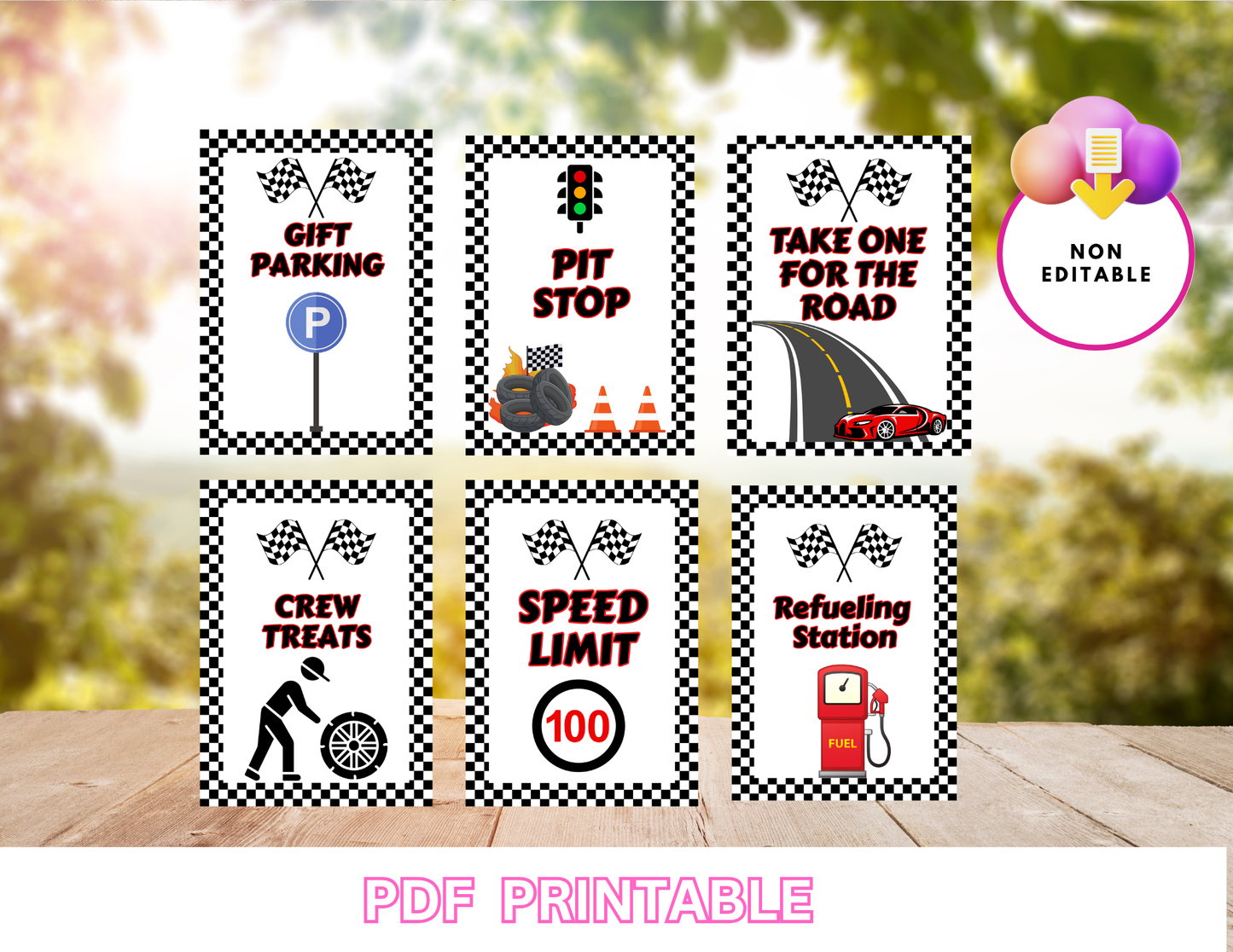 Race Car Birthday Printable Signs – Set of 6 PDF Prints Non-Editable Instant PDF Download