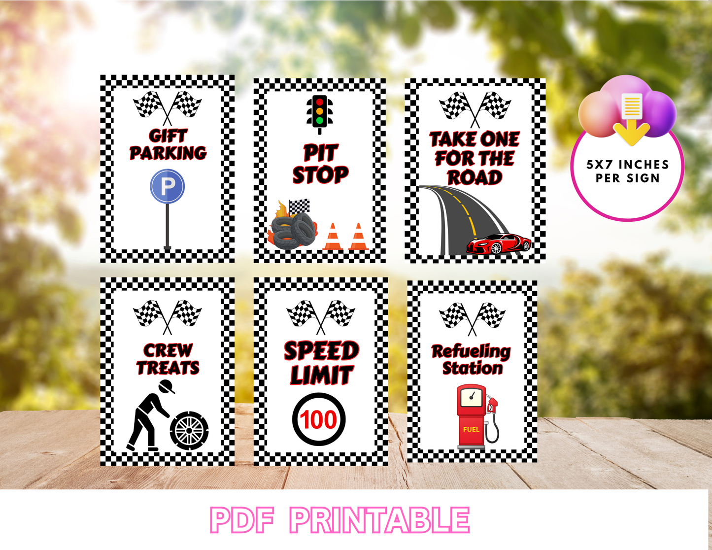 Race Car Birthday Printable Signs – Set of 6 PDF Prints Non-Editable Instant PDF Download